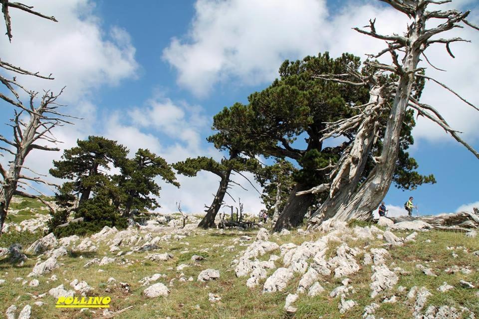 Vila Agriturismo Acampora Cerchiara di Calabria Exteriér fotografie